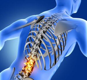 Ar Holistic Therapy - Bradford - Spinal disk - UK