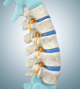 Ar Holistic Therapy - Bradford - Spinal discs