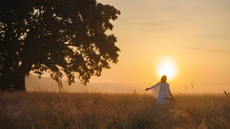 No One Liberates No One - 2