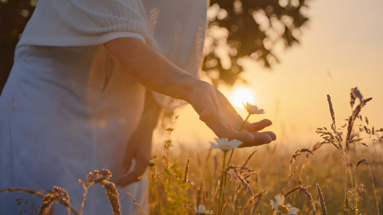 Self Introspection - 2